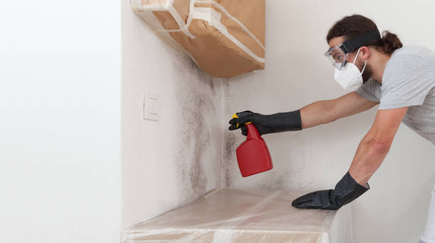 Professional Bathroom Mold Removal technician working in Saint Paul Park, MN